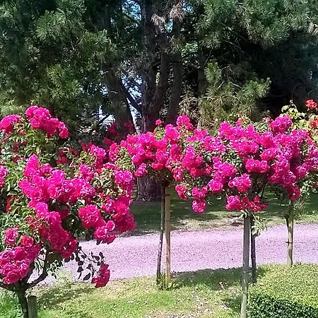Hébergement de vacances La Pomme Rouge *